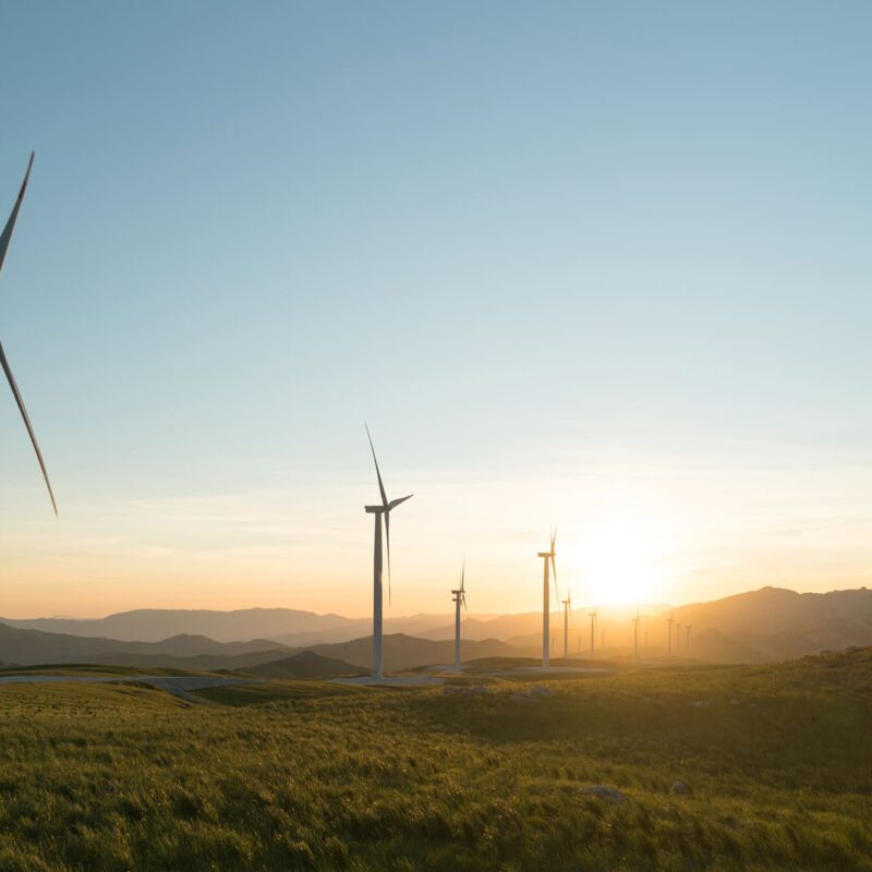 pale eoliche in un campo